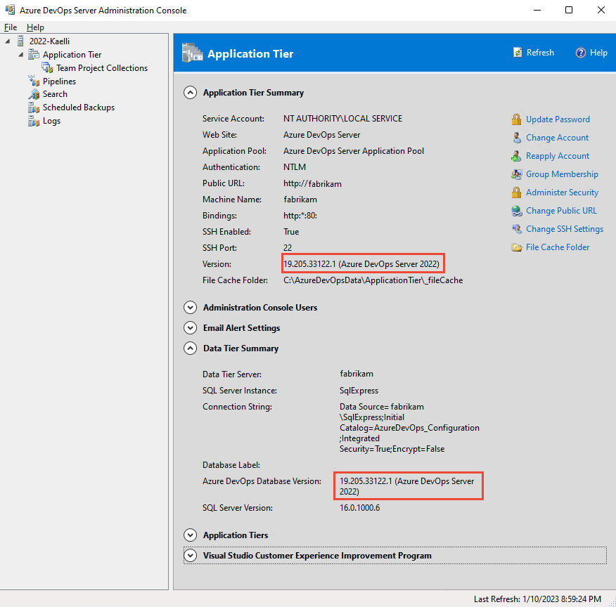 Screenshot di Azure DevOps Server Console di amministrazione, pagina Livello applicazione, 2022.
