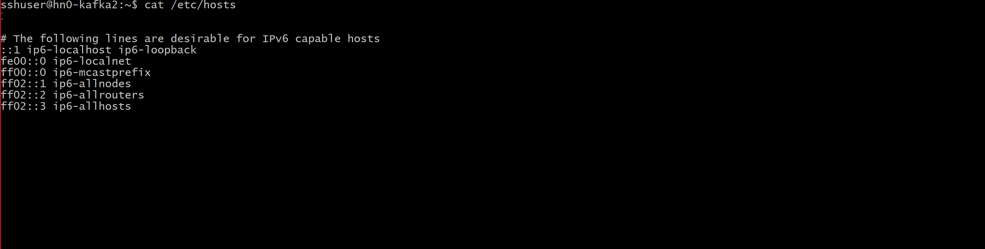 Screenshot che mostra l'output del file host.
