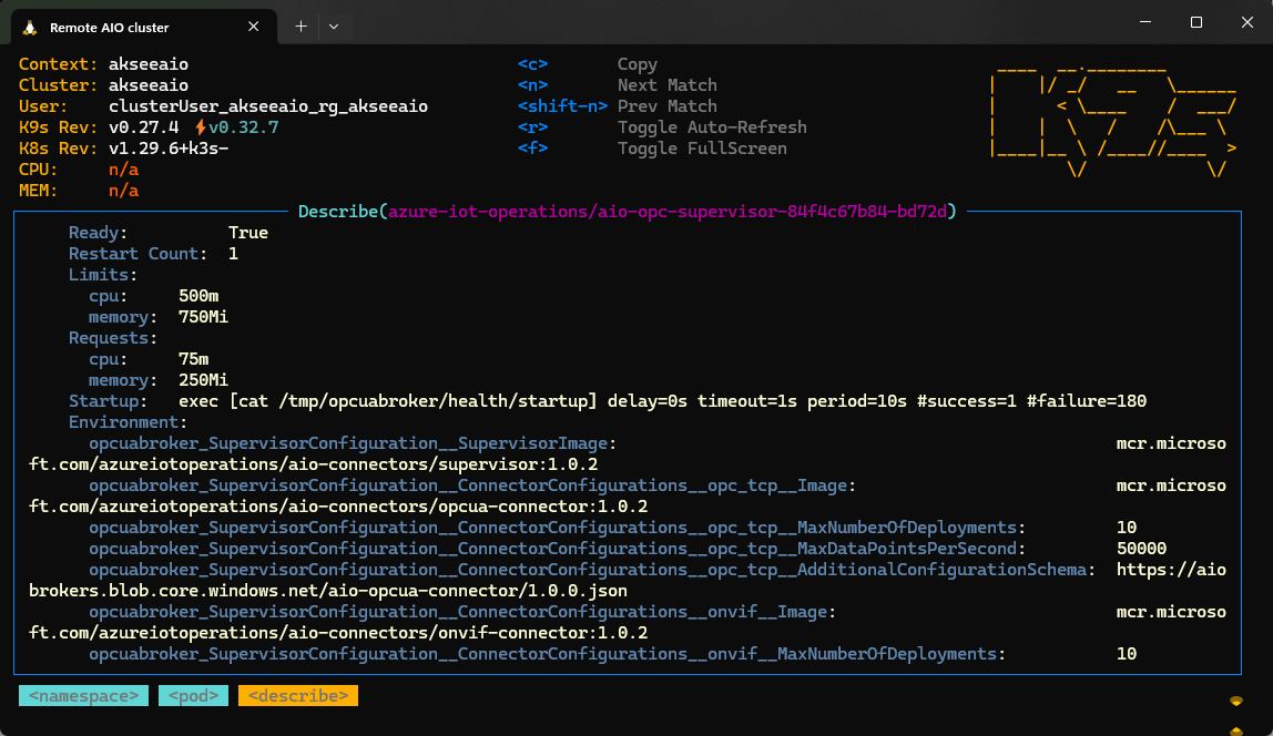 Screenshot che mostra una descrizione in k9s di un pod in esecuzione.
