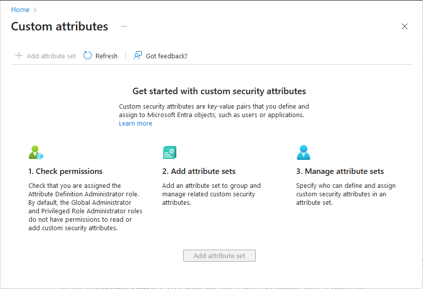 Screenshot che mostra la pagina Attività iniziali degli attributi di sicurezza personalizzati.