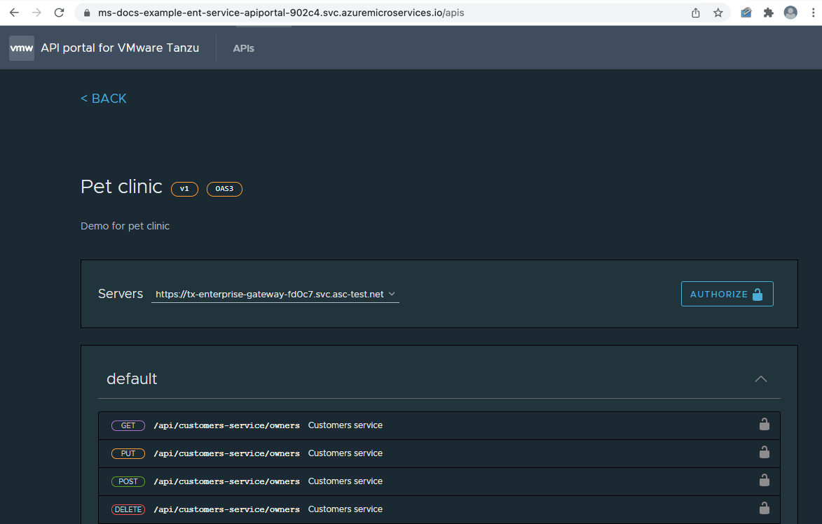 Screenshot del portale API che mostra le route configurate.