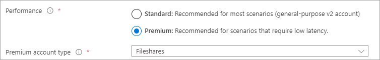 Screenshot del pulsante di opzione delle prestazioni con il tipo di account premium selezionato e il tipo di account con FileStorage selezionato.