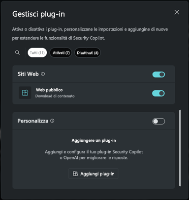 Screenshot della sezione Personalizzata del plug-in.