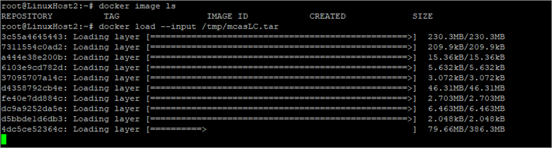 Screenshot dell'importazione dell'immagine dell'agente di raccolta log nel repository Docker.