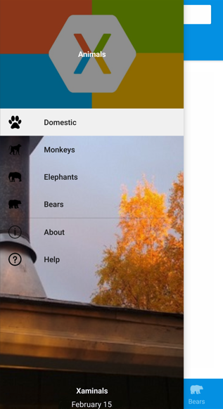 Screenshot di un pannello a comparsa Shell.