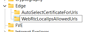 Acquisizione dello schermo ingrandita della GUI del Registro di sistema, nuovo nome di chiave 'WebRtcLocalIpsAllowedUrls' immesso nella chiave 'Edge'.