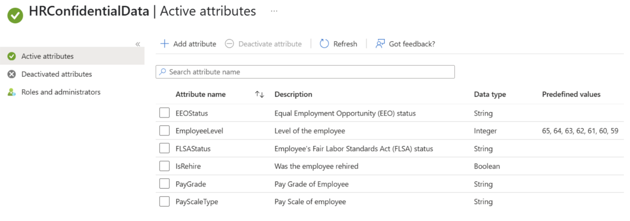 Screenshot degli attributi attivi di sicurezza personalizzati.