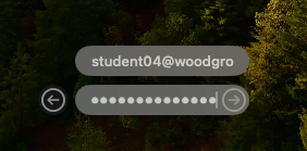 Screenshot della casella di accesso macOS in cui un utente ha immesso le credenziali.