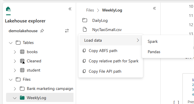Screenshot che mostra il menu di scelta rapida dei file in lakehouse.