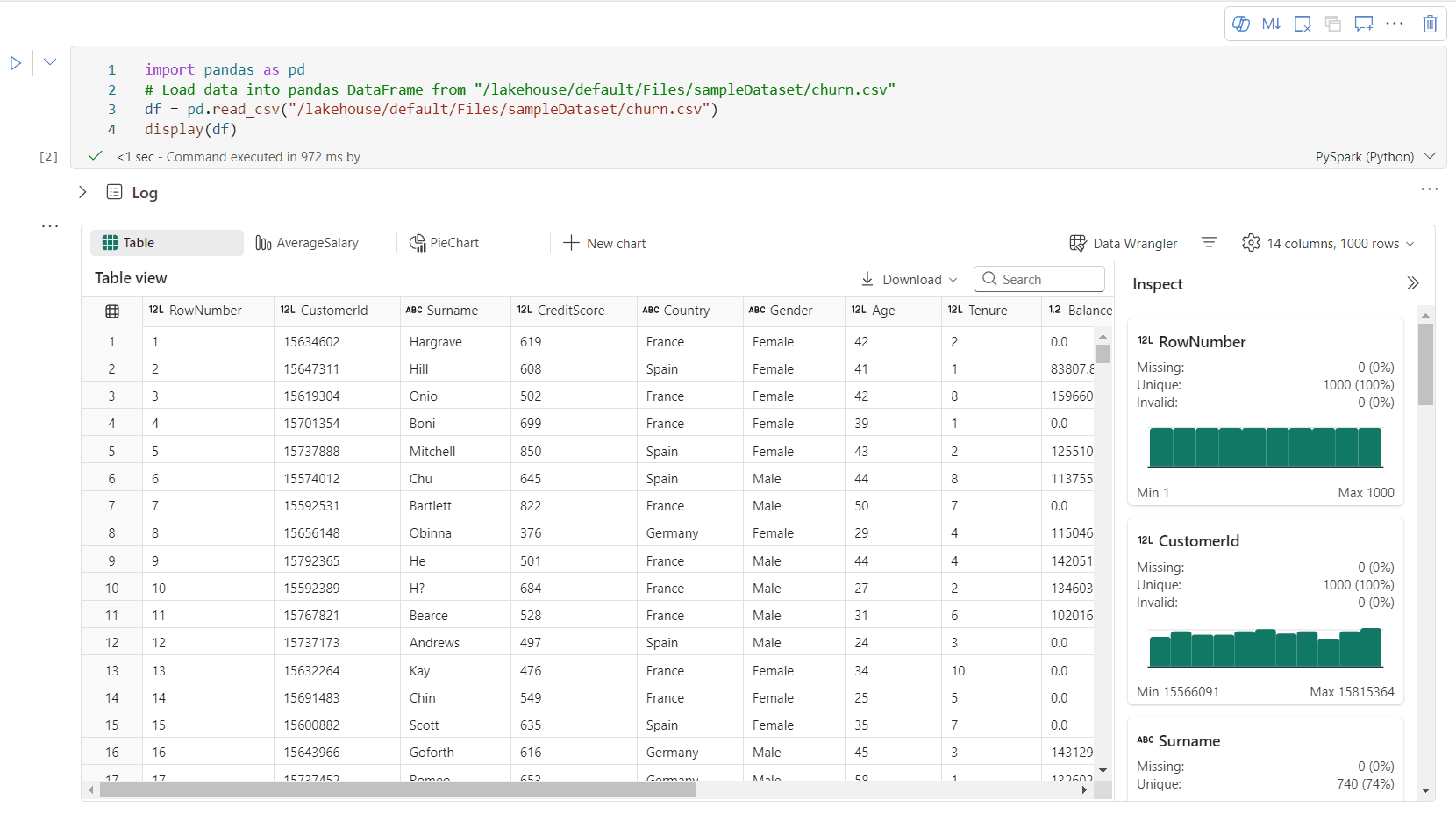GIF animata di anteprima del DataFrame avanzato.