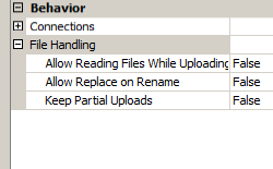 Screenshot del campo espandibile Gestione file contenente le specifiche Consenti lettura file durante il caricamento, Alow Replace on Rename e Keep Partial Uploads ( Mantieni caricamenti parziali).