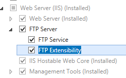 Screenshot del server Web I S e F T P Server espanso con F T T Extensibility evidenziato.