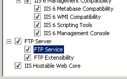 Screenshot della pagina Seleziona servizi ruolo con il riquadro F T P Server espanso e F T P Services selezionato.