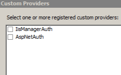Screenshot della finestra di dialogo Provider personalizzati con l'elenco di provider personalizzati registrati.