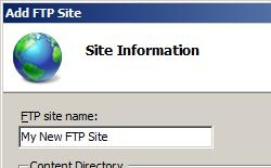 Screenshot della pagina Informazioni sito che mostra il nuovo sito digitato nel campo per il nome del sito F T P con percorso fisico popolato con il percorso della cartella.