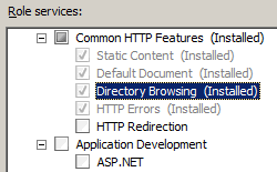 Sezione Roles Services con l'opzione Directory Browisng (installata) evidenziata.