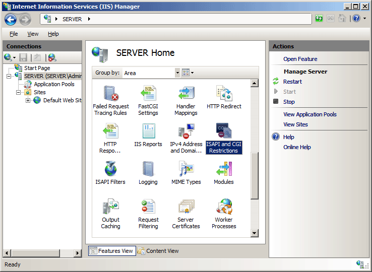 Screenshot della finestra I S Manager che mostra la home page del server. L'icona per I S A P I e C G I Restrictions è evidenziata.