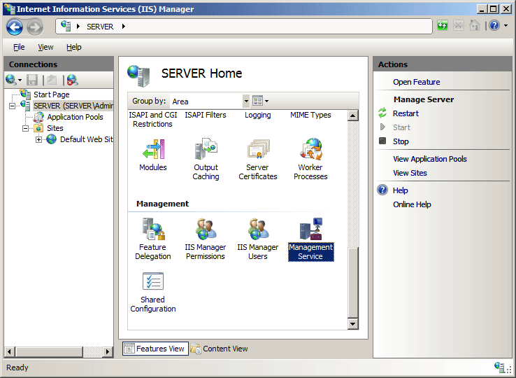 Screenshot della schermata Iniziale del server con lo stato attivo sull'opzione Servizio di gestione.