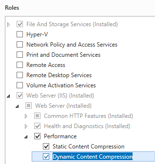 Screenshot della pagina Ruoli server con Compressione contenuto statico e Compressione contenuto dinamico selezionata.
