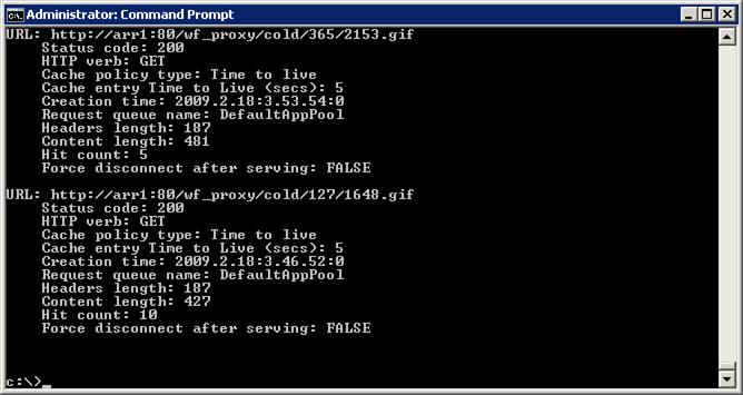 Screenshot del prompt dei comandi amministratore. La cache show di Net s h t t è scritta.