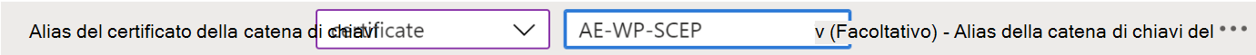 Modificare l'alias del certificato client KeyChain nei criteri di configurazione di un'app VPN in Microsoft Intune usando l'esempio configuration Designer .