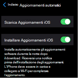 Screenshot che mostra le impostazioni di aggiornamento automatico nei dispositivi Apple iOS/iPadOS.