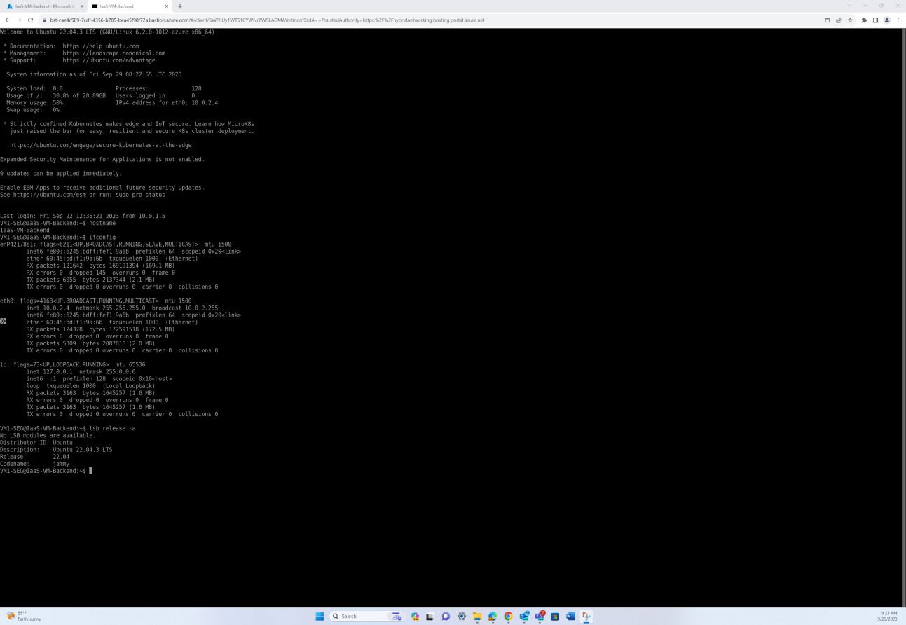 Output del sistema operativo Linux con ID, descrizione, cronologia delle versioni e nome di codice.