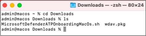Screenshot che visualizza i due file di download.