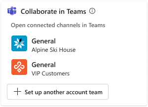 Screenshot che mostra la creazione del team di account da una visualizzazione dei dettagli.