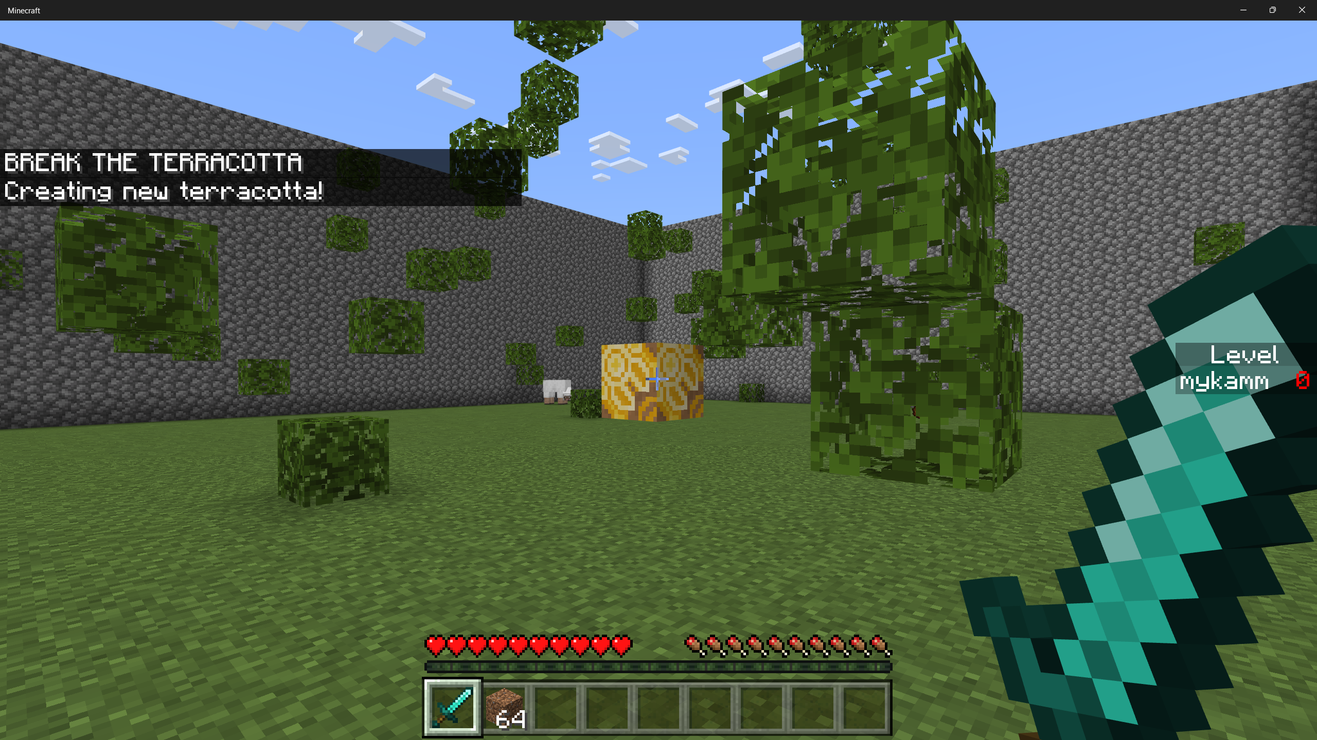 Fuzzy leaves at night