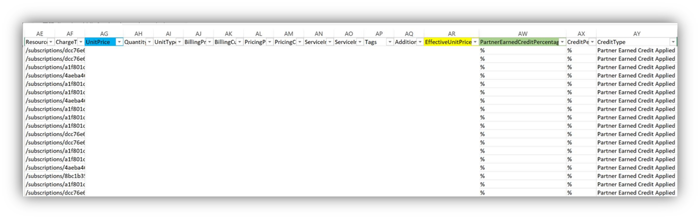 Screenshot di un file di utilizzo valutato giornaliero del Centro per i partner che evidenzia il prezzo unitario effettivo.