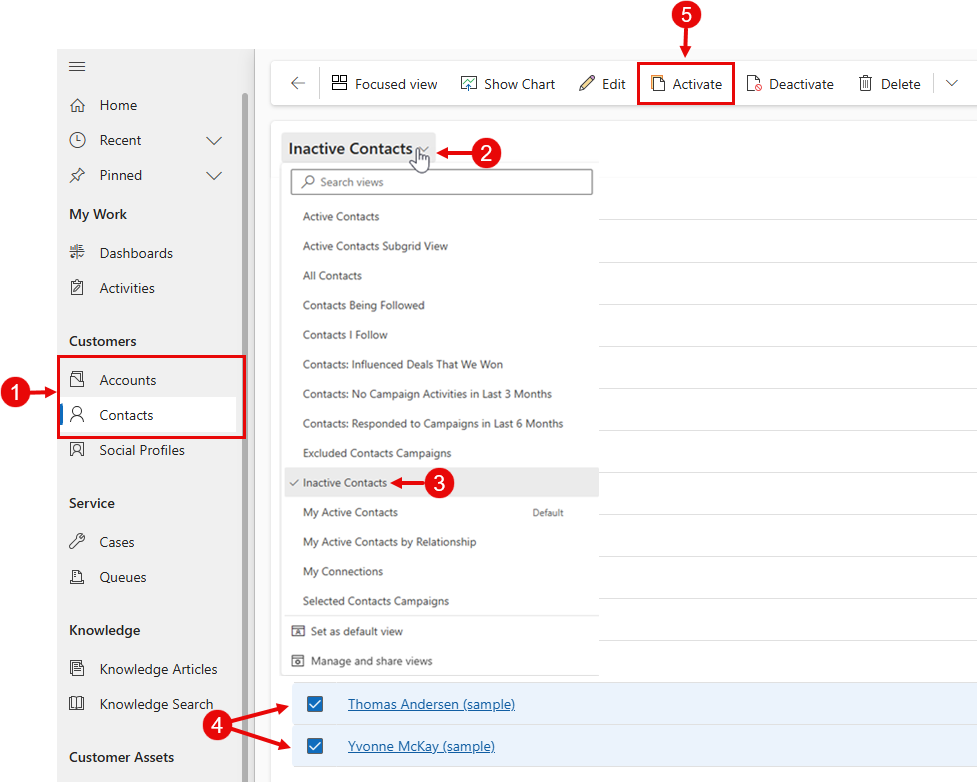 Attiva contatto in Power Apps.
