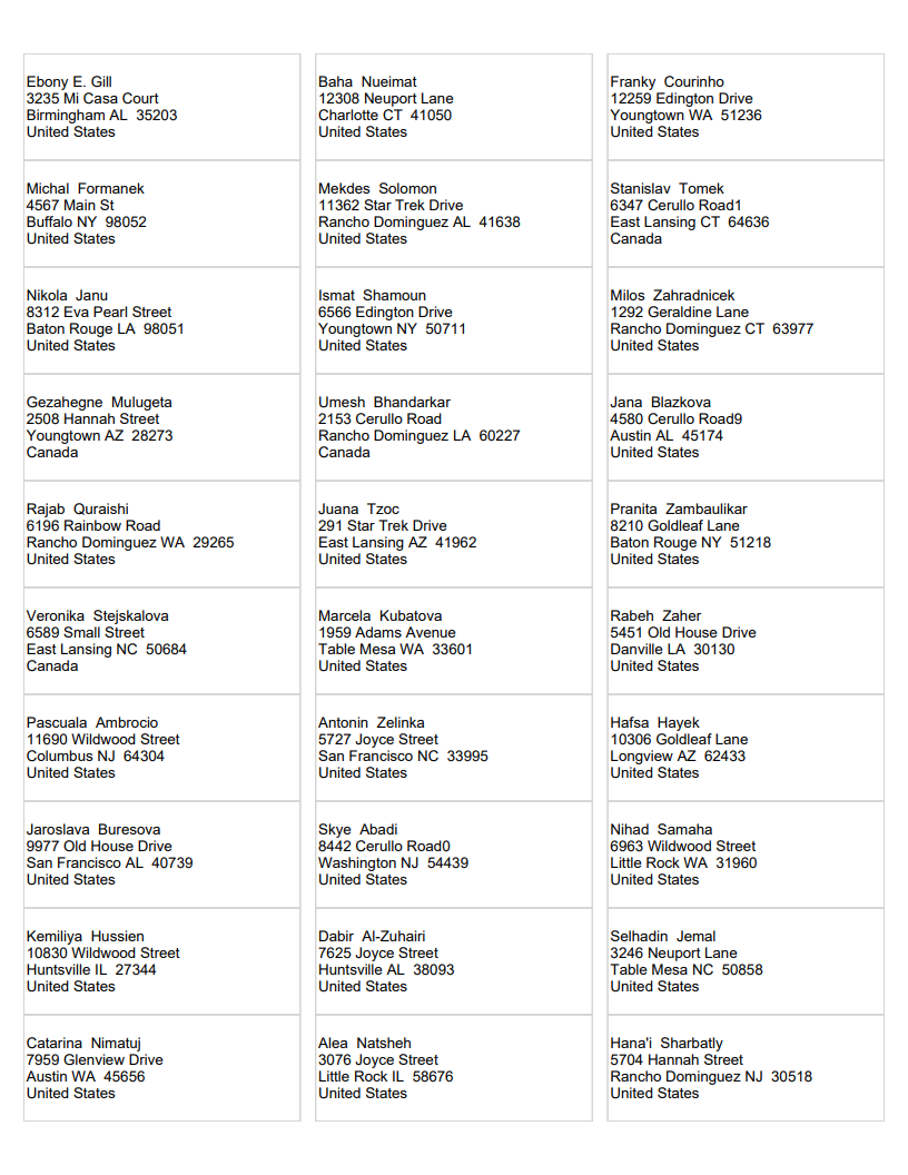 Screenshot of sample Power BI paginated report labels.