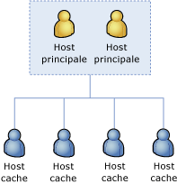 Host principali cluster cache