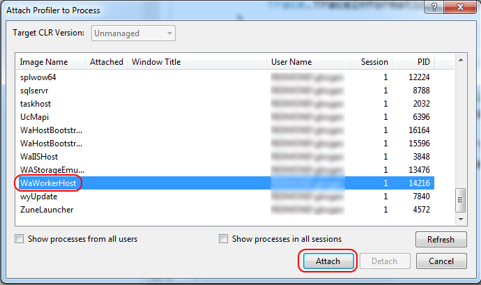 Processo WaWorkerHost