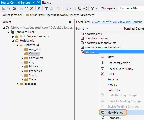 Source control explorer, source file context menu, view history
