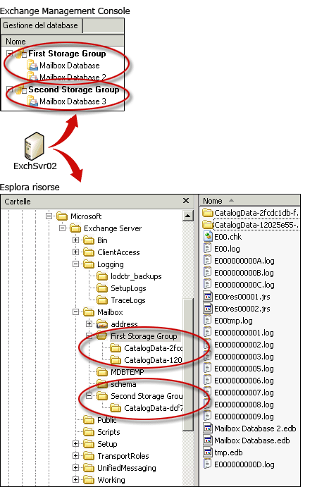 Gruppi di archiviazione e file di Exchange 2007