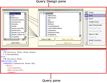 Progettazione query DMX di Analysis Services, visualizzazione query