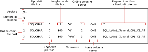 File in formato non XML predefinito per myTestSkipCol