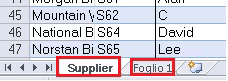 Excel - Schede Fornitore e Foglio1