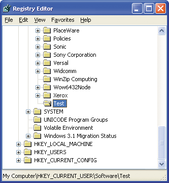 Figure 1 Dandelion? No, Registry Key