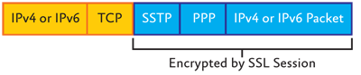 Figure 2 Structure of SSTP packets