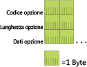 Figura 2 Struttura delle opzioni di DHCPv6