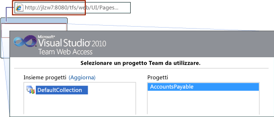 Passaggio a Team Web Access