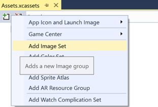 Screenshot della creazione di un nuovo set di immagini nel catalogo asset in Visual Studio