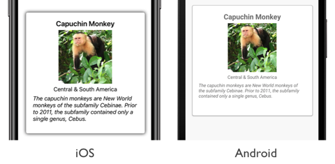 Screenshot di un layout orizzontale CarouselView in iOS e Android