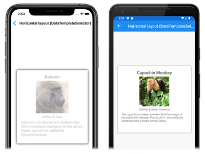 Selezione del modello di elemento di runtime in un controllo CarouselView Screenshot della selezione del modello di elemento di runtime CarouselView in iOS e Android