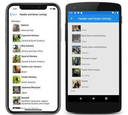 Screenshot di un'intestazione e di un piè di pagina della stringa CollectionView in iOS e Android