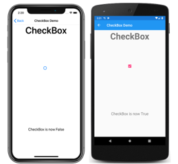 Esempio di CheckBox