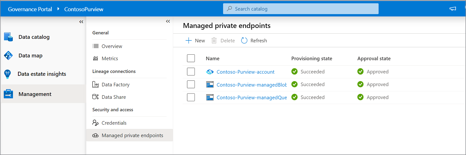 Screenshot che mostra gli endpoint privati gestiti in Microsoft Purview - approvato 